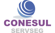 Conesulservseg